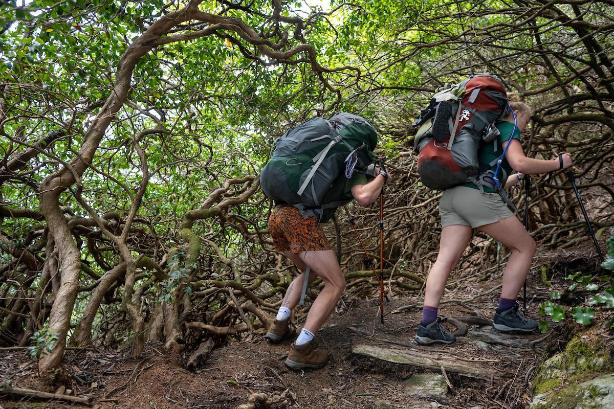 students hiking